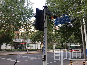一大波高大上交通設(shè)施亮相國際莊